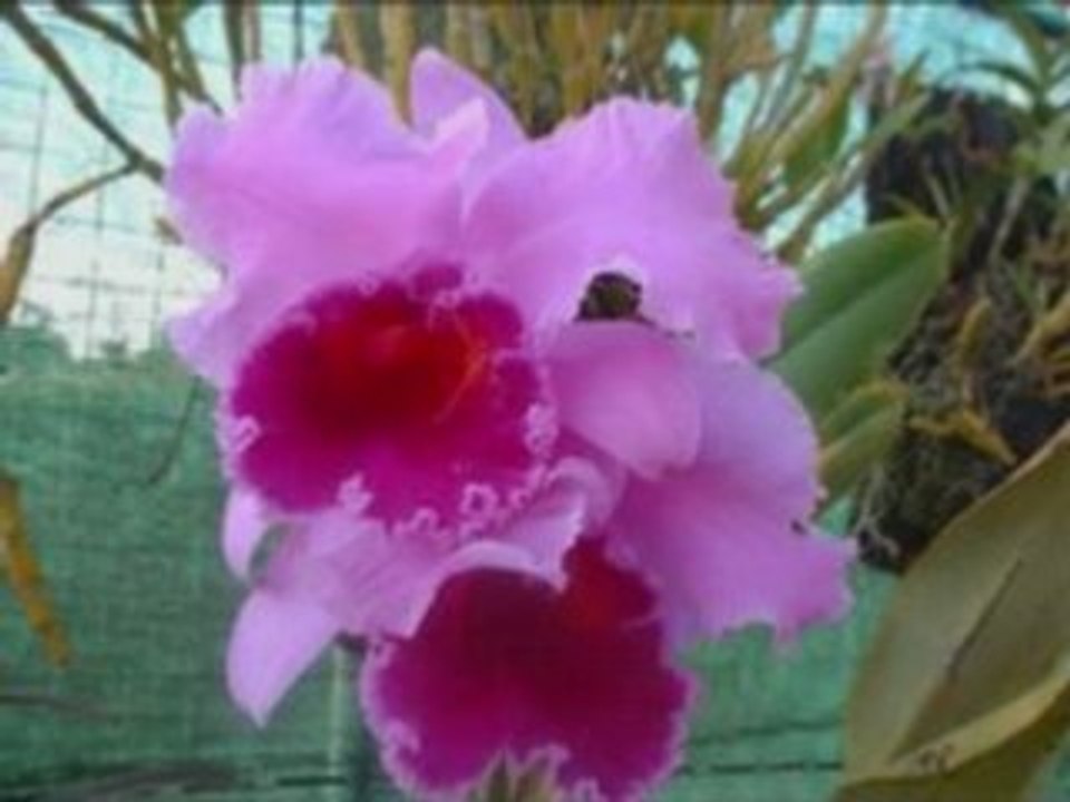 Quand le soleil dit bonjour aux montagne