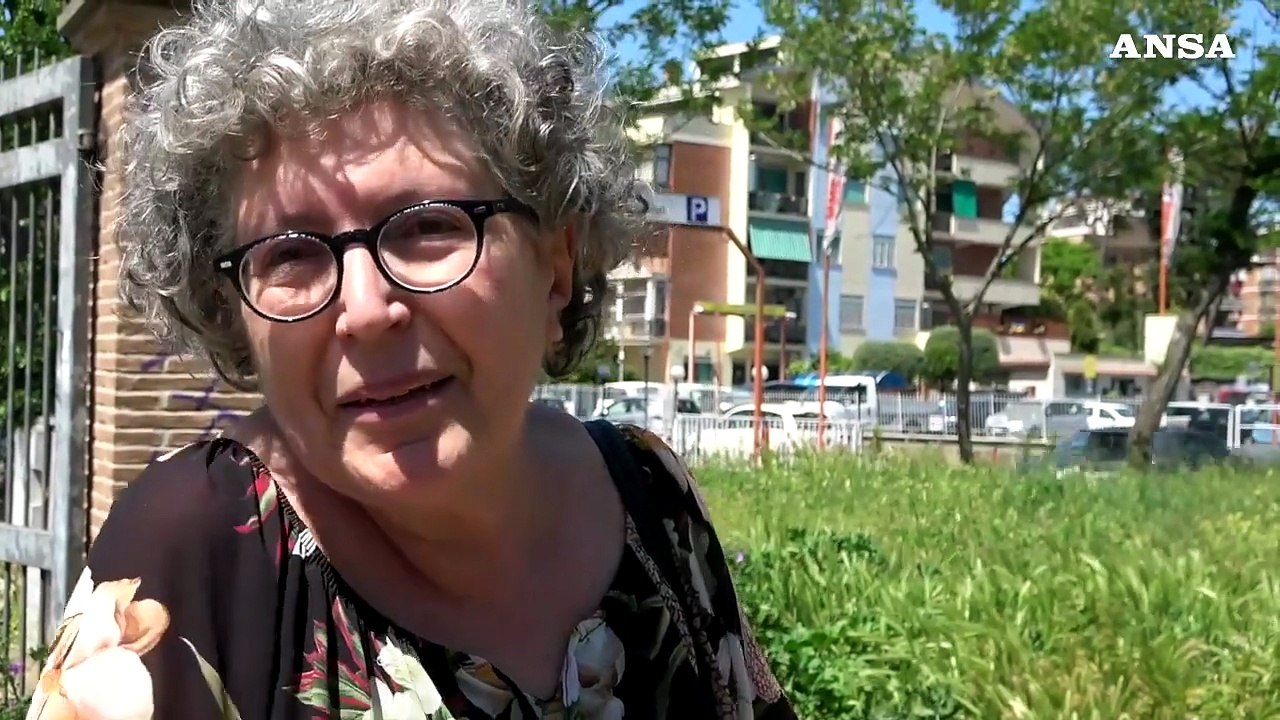 Cinghiali in citta' e peste suina, l'ordinanza della Regione Lazio nei parchi di Roma
