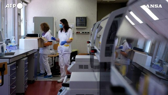 Omicron, la sottovariante BA.5 piu' contagiosa delle sue sorelle
