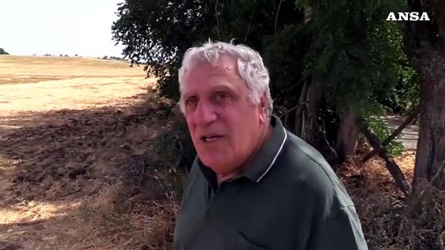 Siccita': Situazione disperata, persa meta' produzione di grano