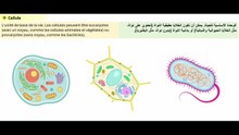 علوم الحياة والأرض_ الحصة رقم 2