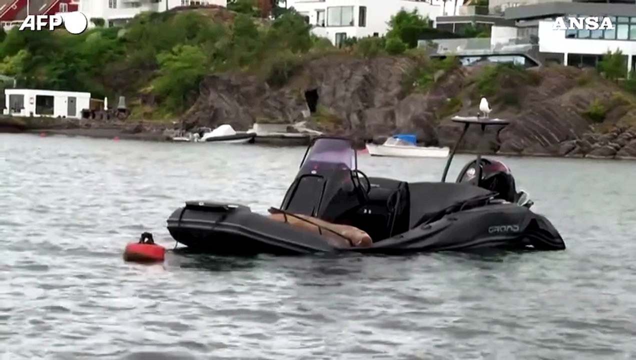 Norvegia, tricheco "assonnato" si accomoda sulle barche di un porticciolo
