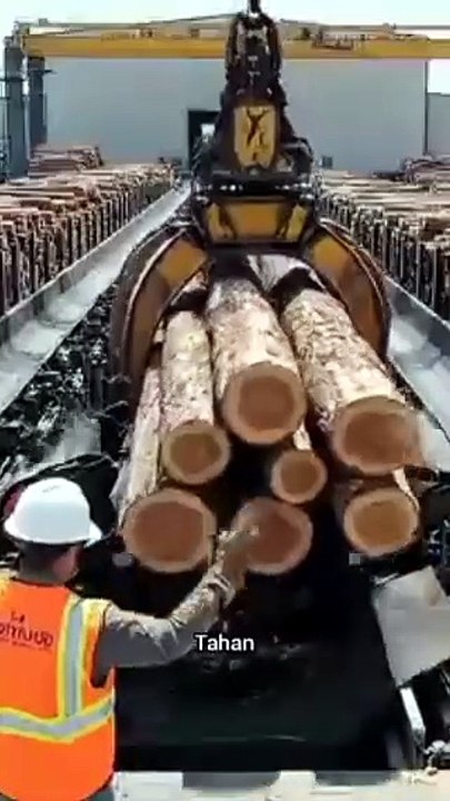Hasil pemotongan Kayu Modern, Pabrik raksasa