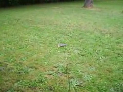 Mine claymore airsoft artisanale