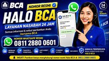 Nomor WhatsApp Resmi Halo BCA