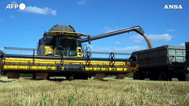 Ucraina, produzione e raccolta del grano nei territori controllati da russi e separatisti
