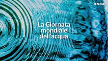 La Giornata mondiale dell'acqua