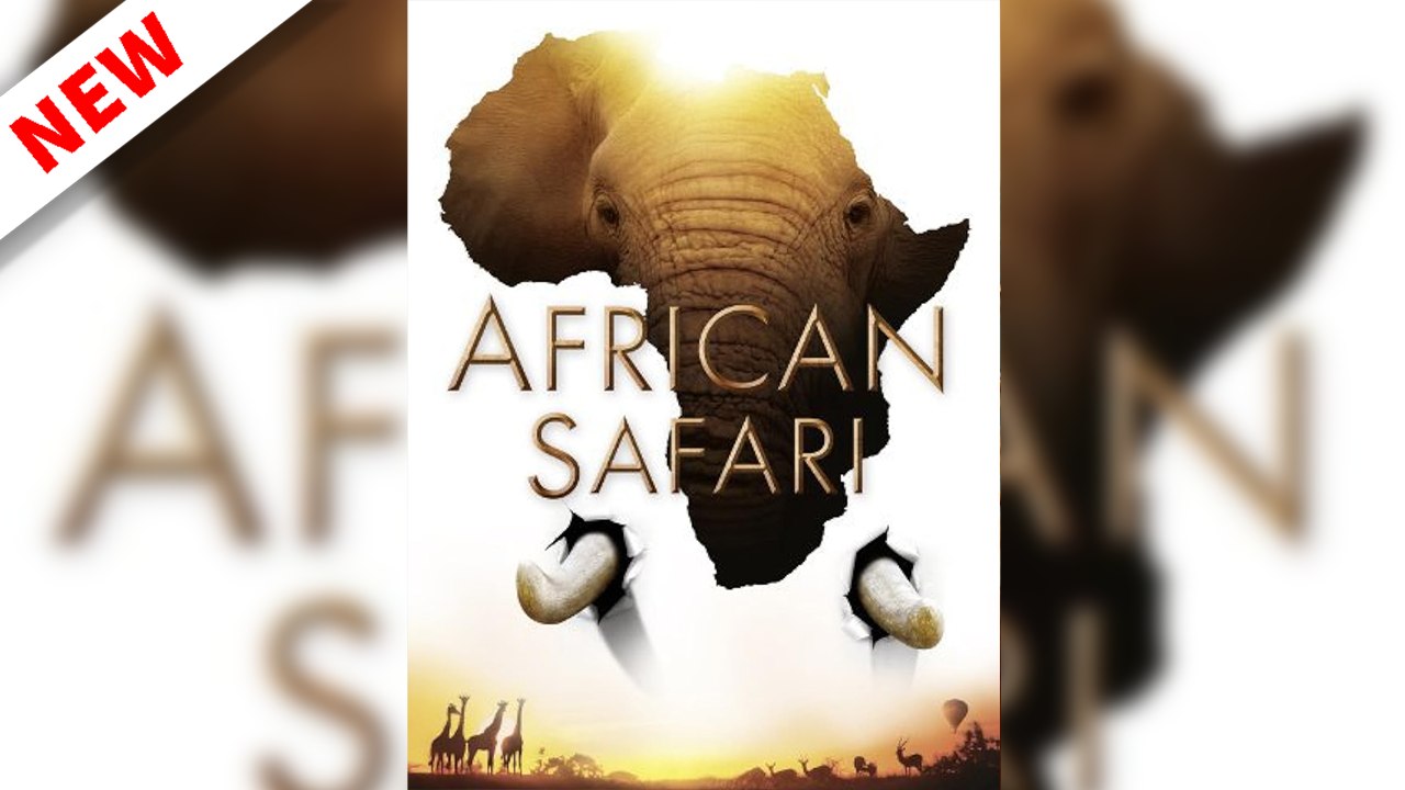 African Safari