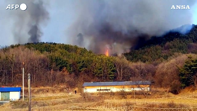 Corea del Sud, incendi boschivi a sud-ovest di Seul