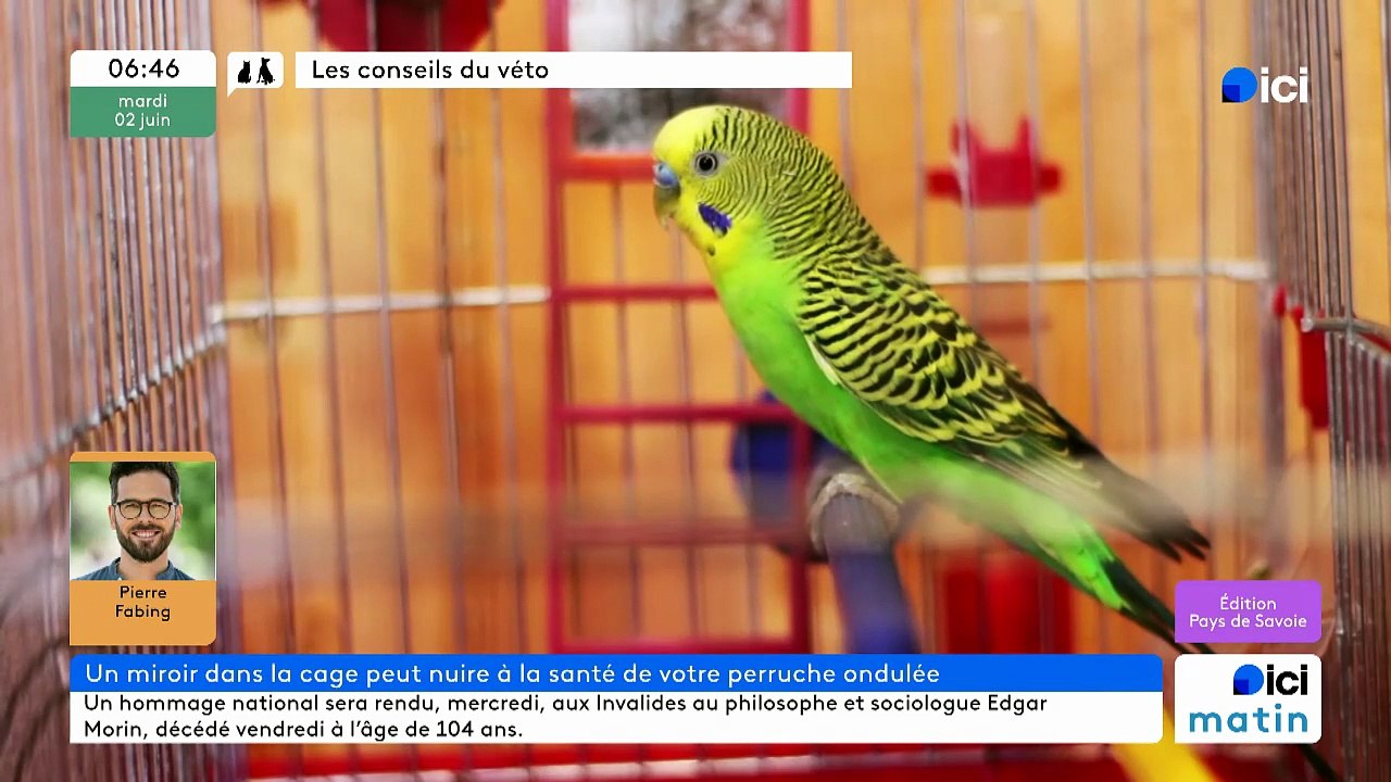 02/06/2026 - ici matin par ici Pays de Savoie en vidéo