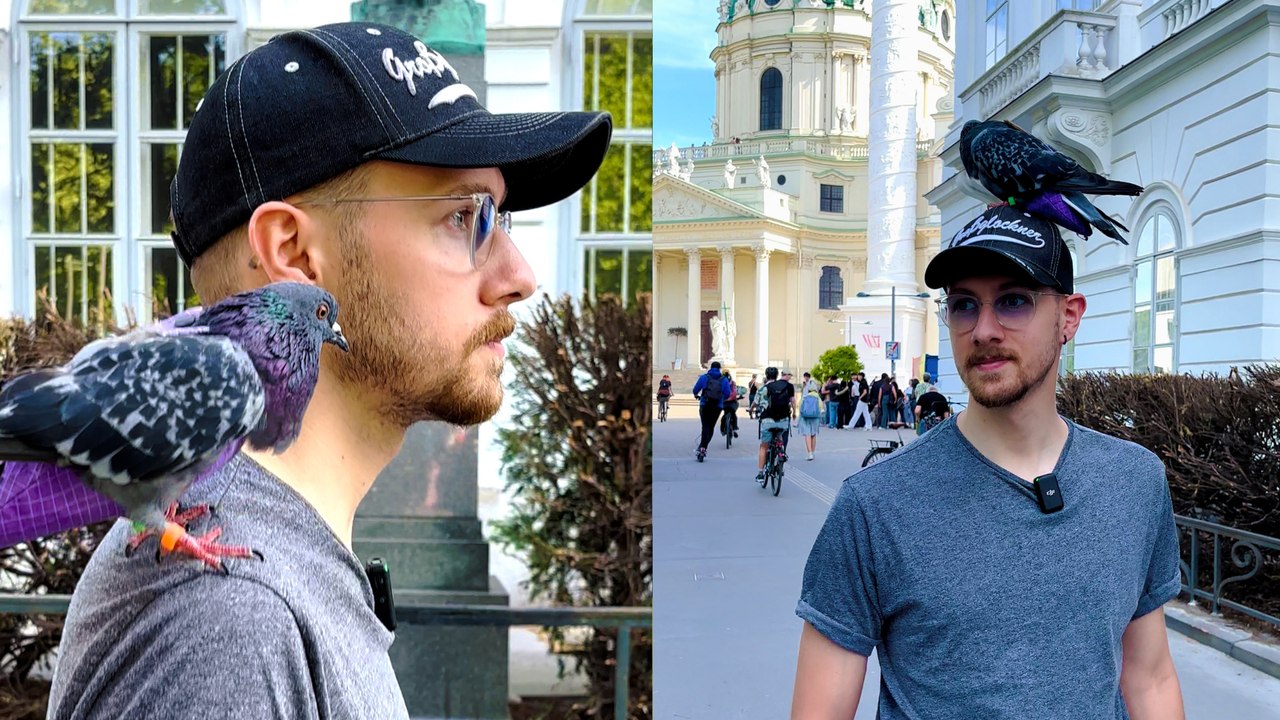Er hat eine Taube als Haustier