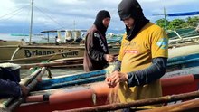 Buying Fresh Malitubong Fish Straight from Fishermen for Breakfast