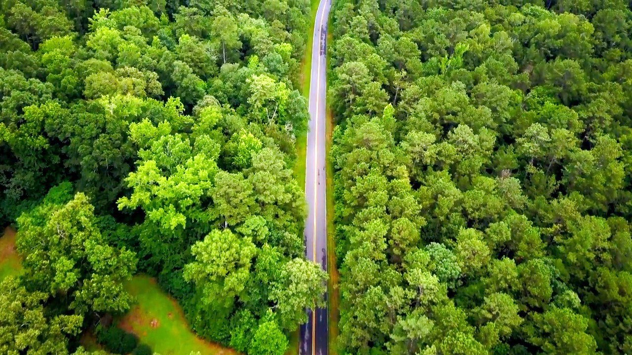 Inside a World Without Humans: What Happens to Cities