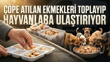 Çöpe atılan tonlarca ekmeği toplayıp hayvanlara ulaştırıyor
