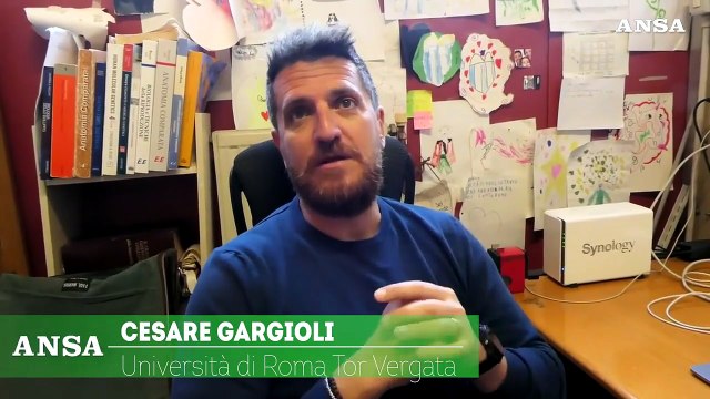 Carne sintetica, a Roma nel laboratorio di Tor Vergata: Non chiamatela cosi'