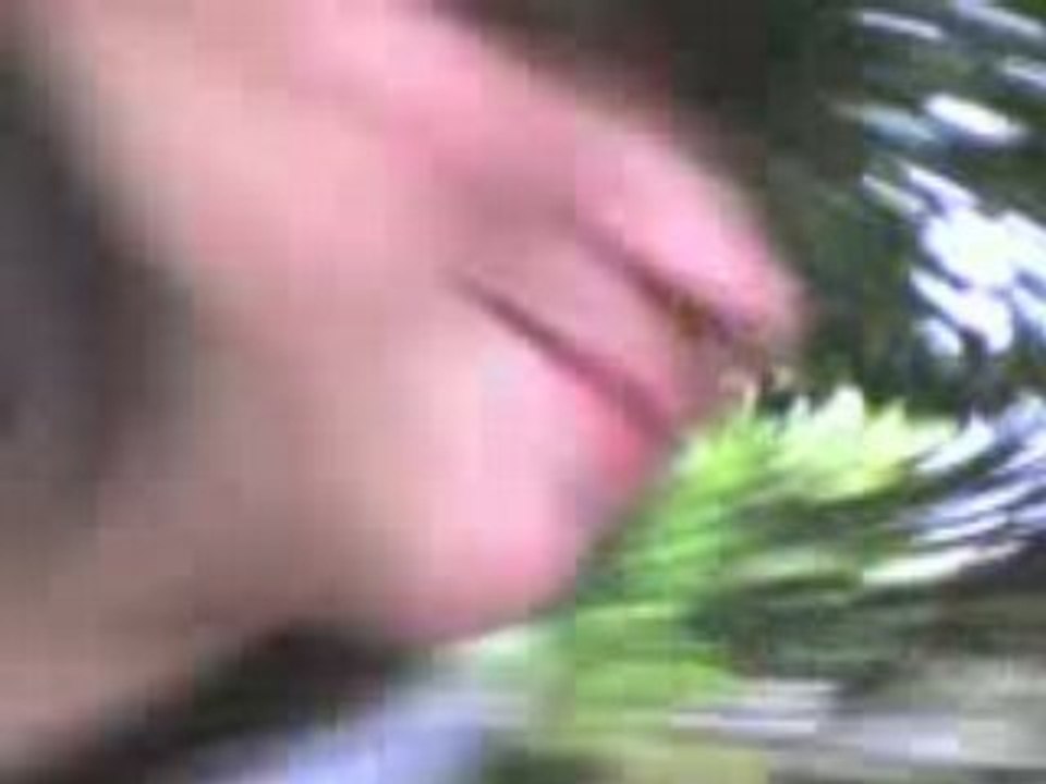 MOV00002