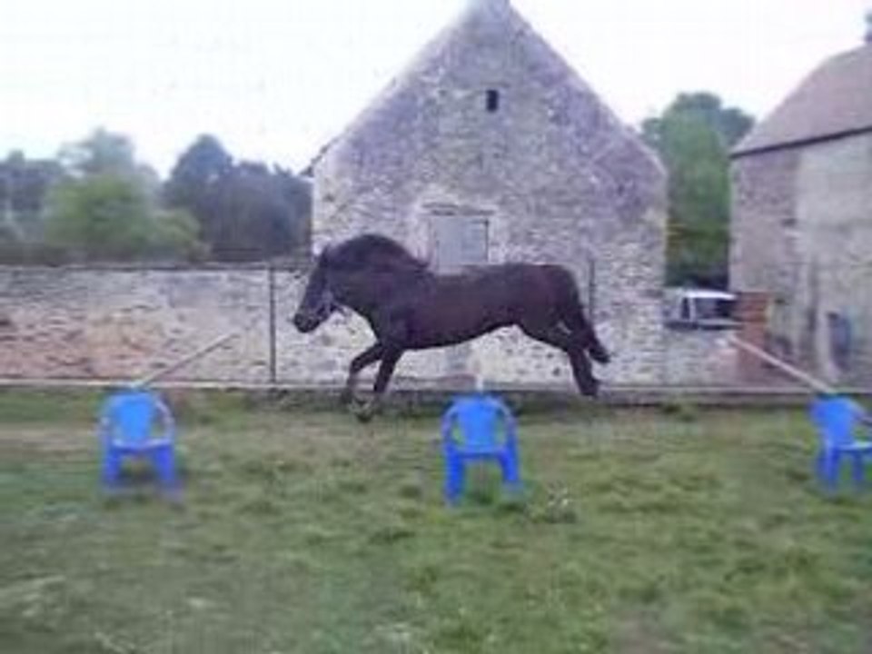 Graffiti sur une ligne (sauts de puce)