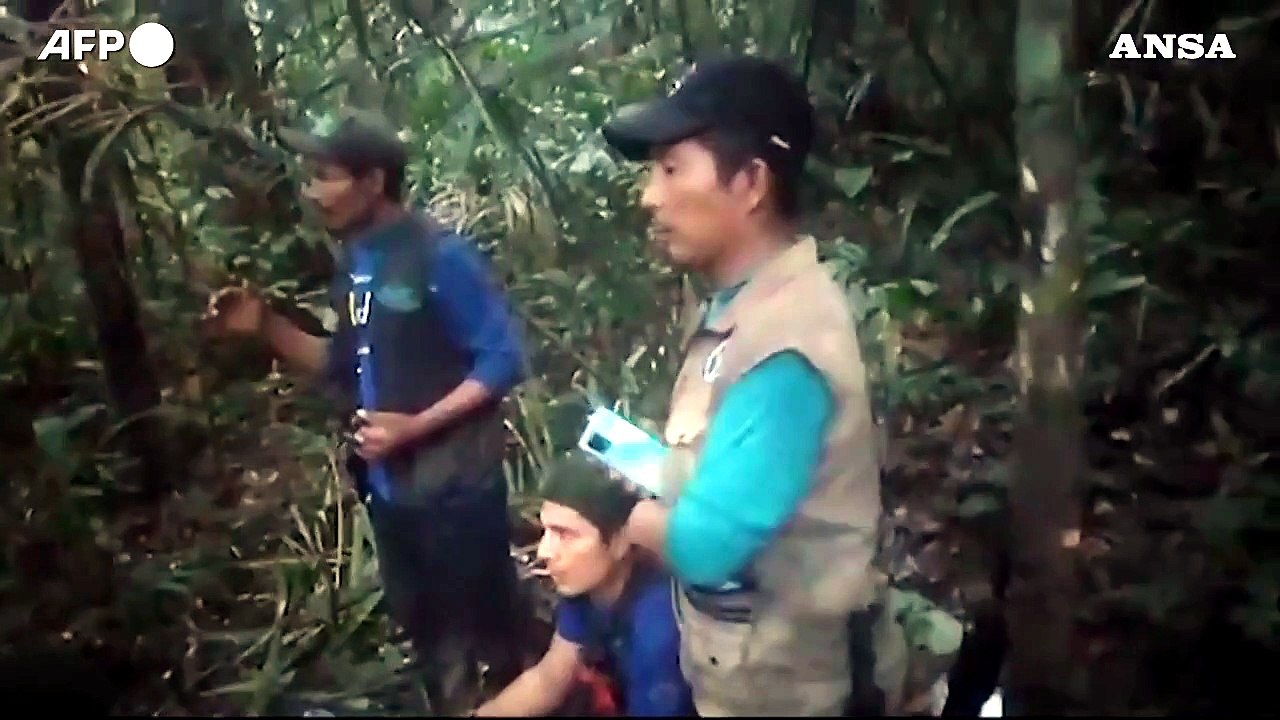 Colombia, il ritrovamento dei quattro bambini nella giungla