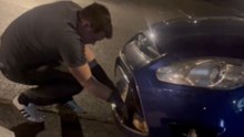 Man Pulls Deer Free After It Gets Stuck In Car Front