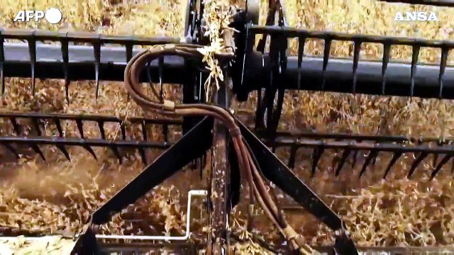 Grande piano agricolo di Lula, opportunita' per l'Italia