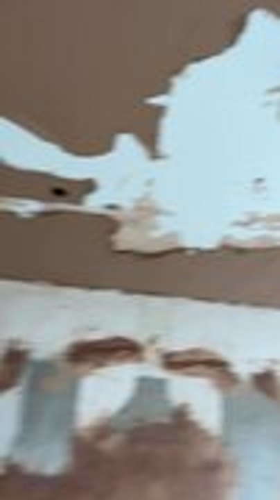 Ceiling Plaster Falls During Renovation Work