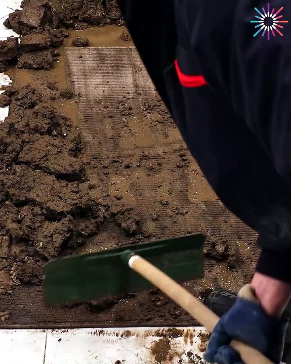 We're finally cleaning this dry muddy rug!