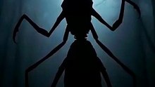 The Creature They Tried to Hide
