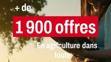 + de 1900 offres en agriculture !