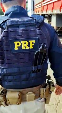 PRF apreende quase 50 quilos de pasta base de cocaína escondidos em carreta na BR-277, em Guarapuava