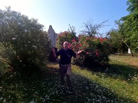 Tappa a Tolosa per il maxi gruppo parmigiano diretto alla Gmg, il vescovo Solmi: Percorso iniziato nel segno della conoscenza - Video