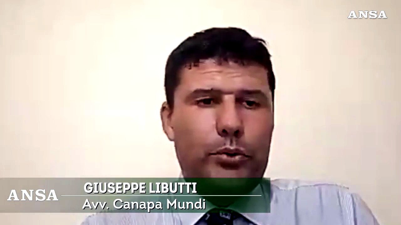 Decreto anti-cbd, il legale: "Mette l'Italia a rischio d'infrazione europea"