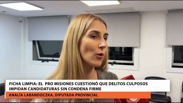 Ficha Limpia El PRO Misiones cuestionó que delitos culposos impidan candidaturas sin condena firme