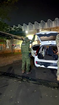 BPFRON e Polícia Federal apreendem 4 mil pacotes de cigarros contrabandeados em Foz do Iguaçu