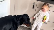 Little girl triumphs in guiding her dog to obey commands