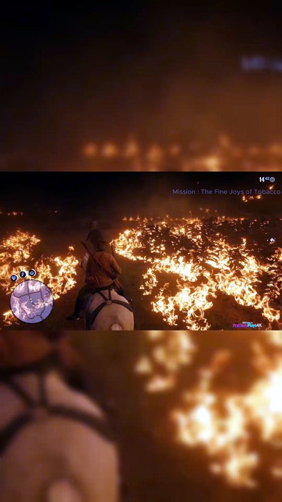 Tobacco Fields Burn & Escape RDR2 Fine Joys of Tobacco