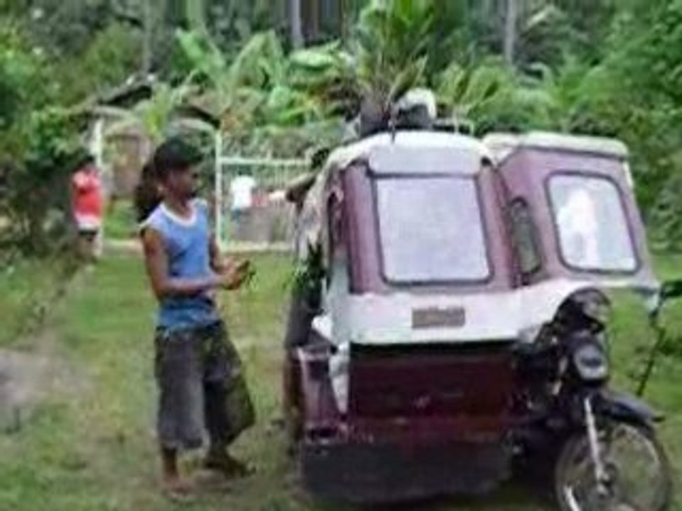 Tricycle & Plants...davao