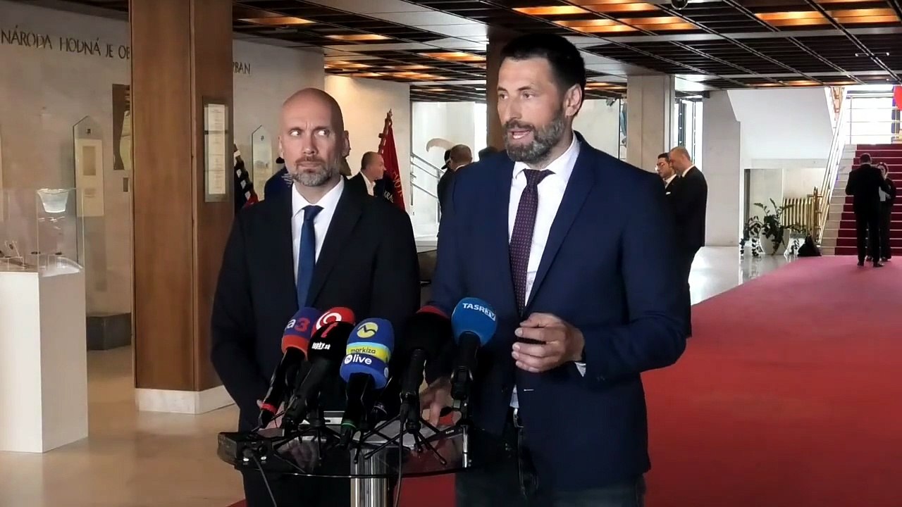 ZÁZNAM: TK strany SaS k prorastovému balíčku