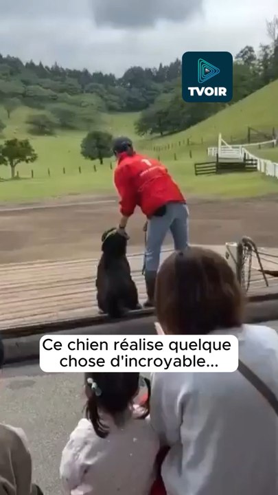 Le temps qu’il a mit pour faire ça est juste dingue ! 🔥