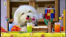 S16E13 Het familiefeest
