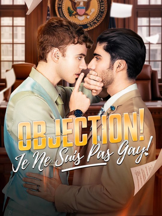 Objection, Je Ne Suis Pas Gay | Série Complète (76 eps) HD