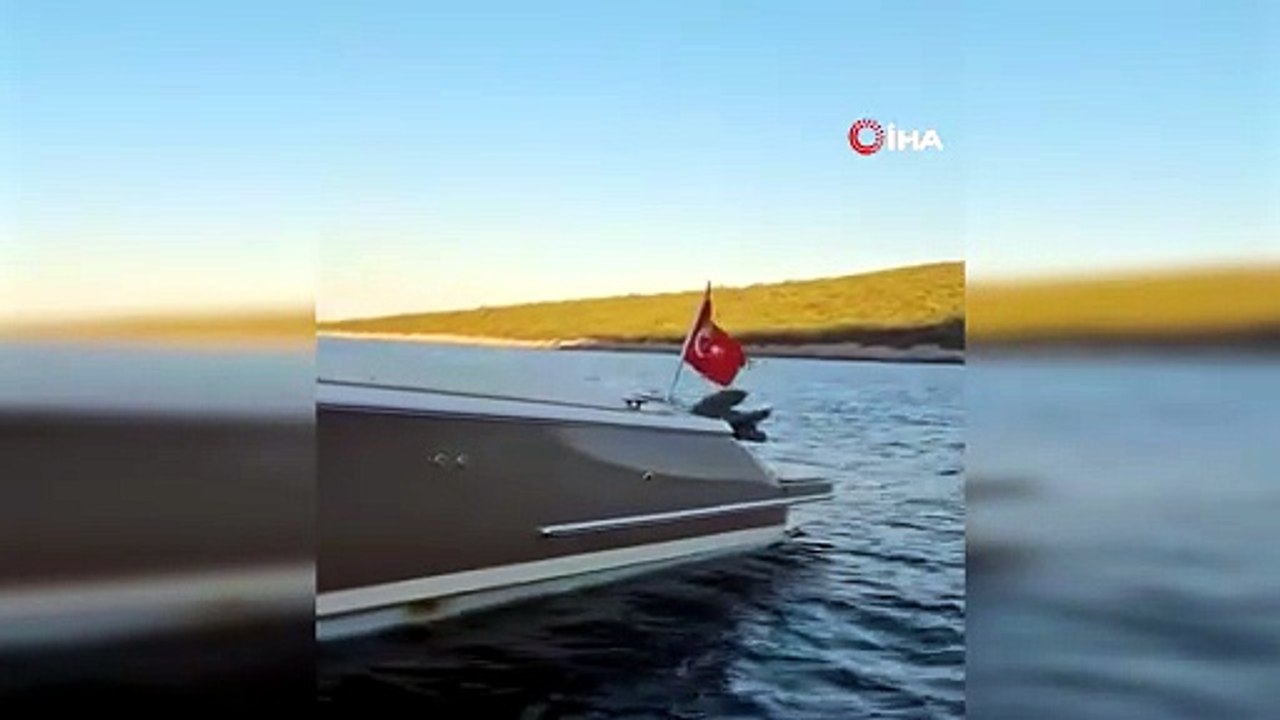 Akdeniz Foku’nun motoryat keyfi