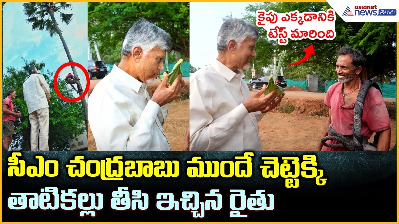 కైపు ఎక్కడానికి టేస్ట్ మారింది: సీఎం చంద్రబాబు | Chandrababu Naidu Thatikallu | Asianet News Telugu