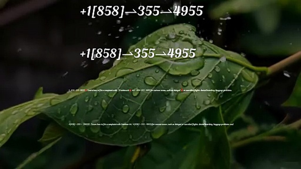 ≋[FULL GUIDE] Coinbase® HELP DESK© SUPPoRT℗ Phone NuMber (OfficiAl)