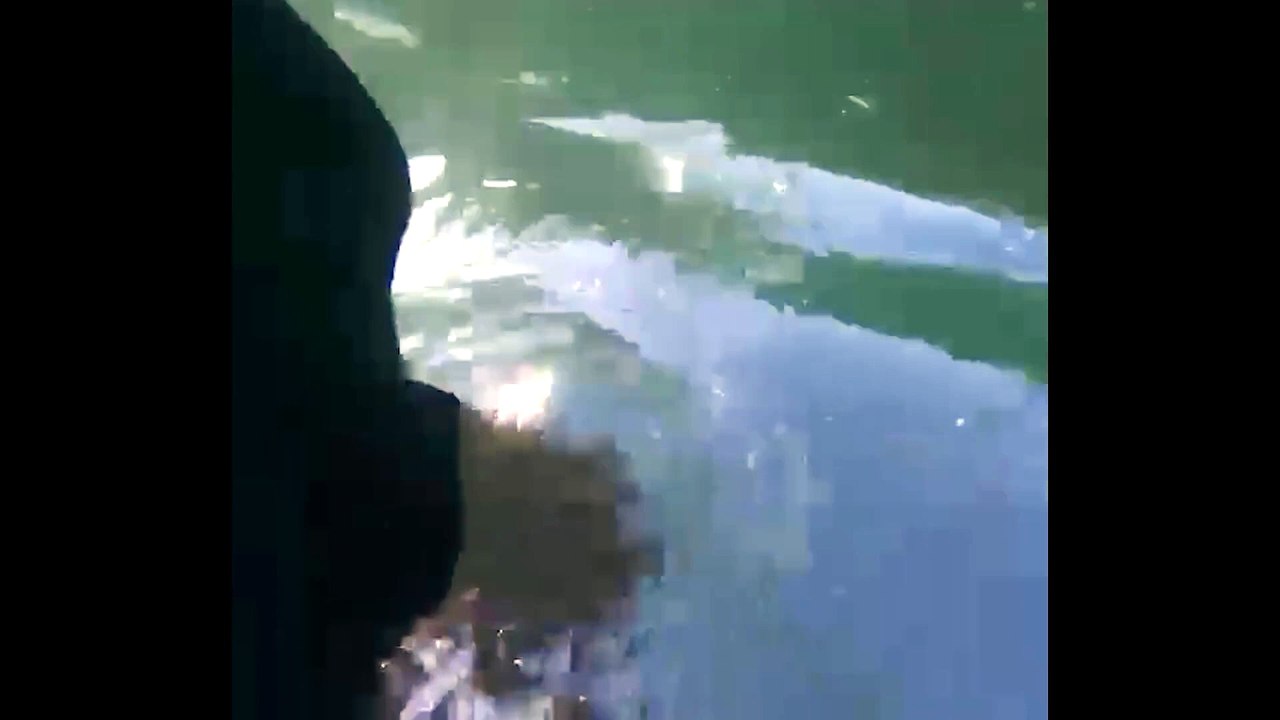 Video Squalo Censurato