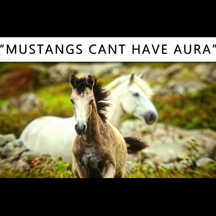 MUSTANG ROAR HIts Different