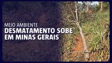Desmatamento sobe em Minas Gerais