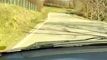 cervi