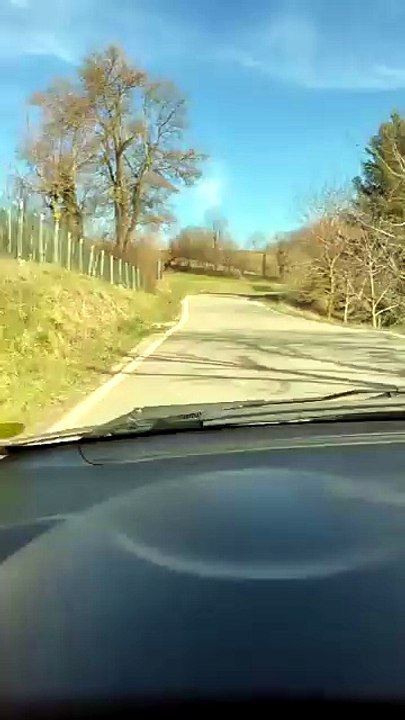 cervi