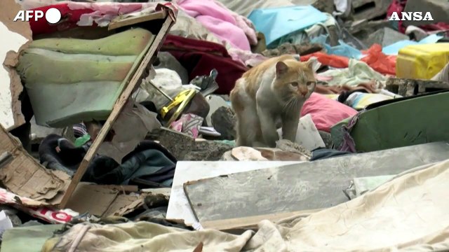 Gaza, attacco israeliano colpisce Rafah: la conta dei danni tra le macerie