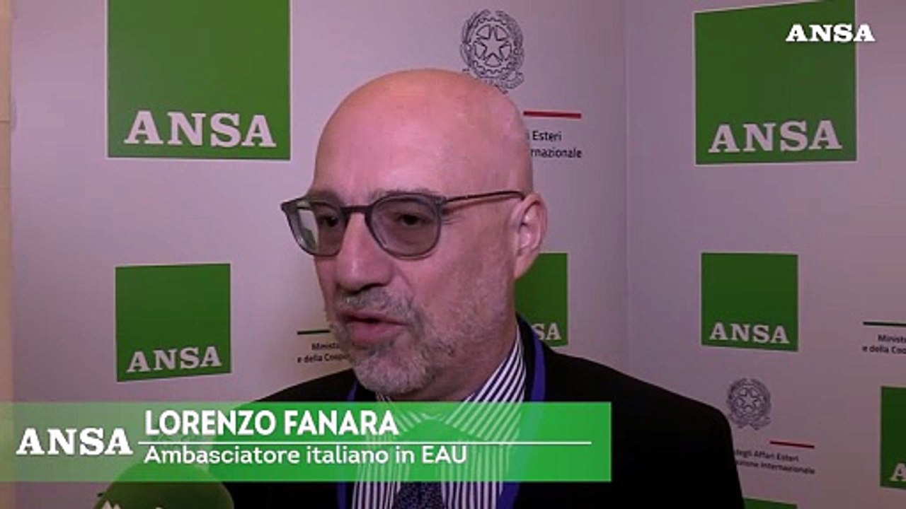 Emirati arabi uniti, Fanara: "Continueranno ad investire in Italia"